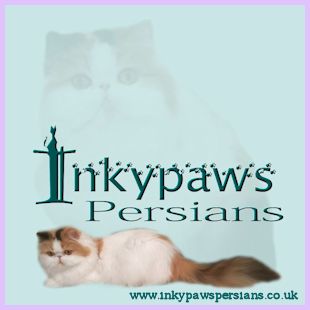 Inkypaws Persians